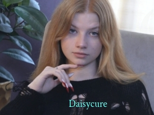 Daisycure
