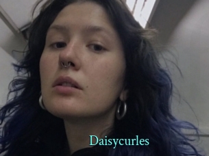 Daisycurles