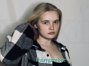 Daisygambee