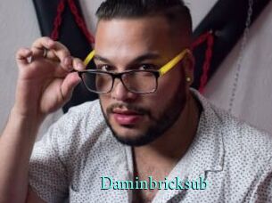 Daminbricksub