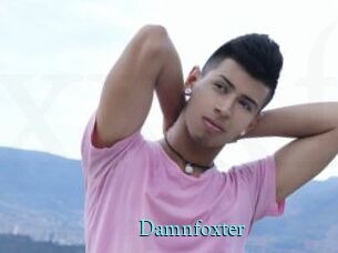 Damnfoxter