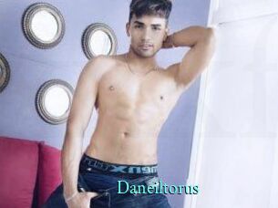 Daneil_torus