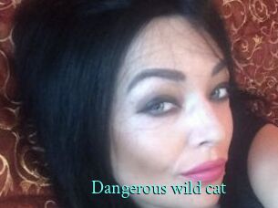Dangerous_wild_cat