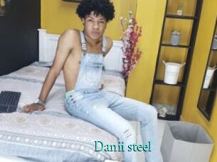 Danii_steel