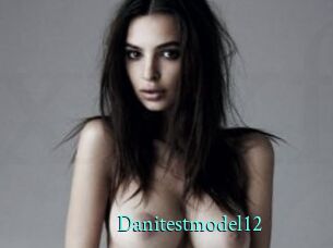 Danitestmodel12