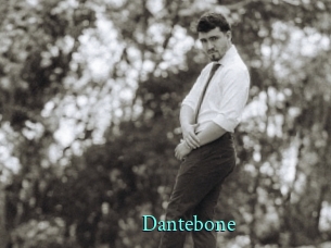 dantebone xxx Fantasy Land