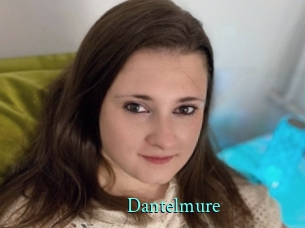 Dantelmure