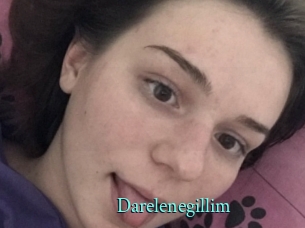 darelenegillim xxx Fantasy Land
