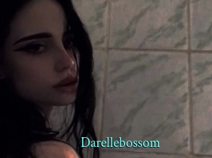 Darellebossom