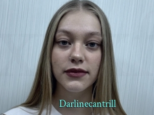 darlinecantrill xxx Fantasy Land