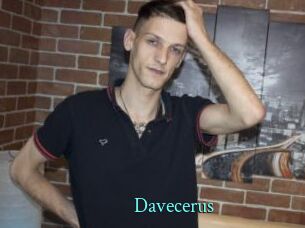 Davecerus