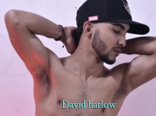 david_harlow xxx Fantasy Land