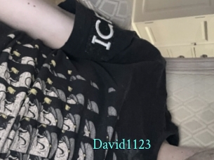 David1123