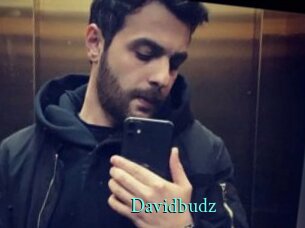Davidbudz