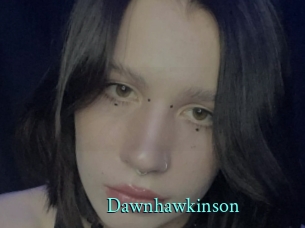 dawnhawkinson xxx Fantasy Land