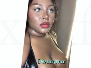 destinytorn xxx Fantasy Land