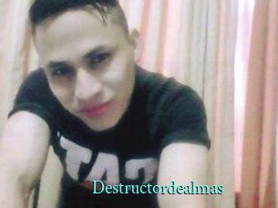 Destructordealmas