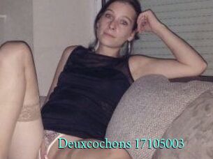Deuxcochons