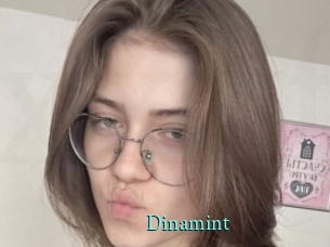 Dinamint