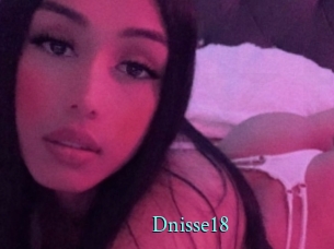 Dnisse18