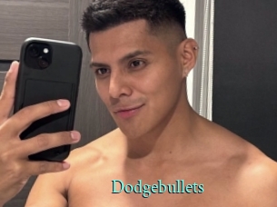 Dodgebullets