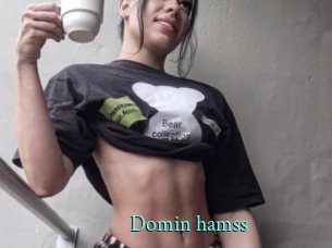 Domin_hamss