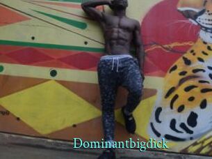 Dominantbigdick