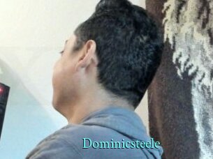 Dominicsteele
