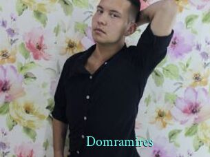 Domramires