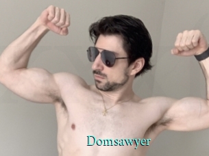 Domsawyer