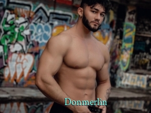 Donmerlin