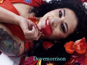 Dovemorrison