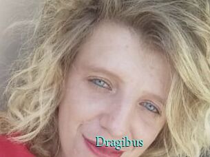 Dragibus