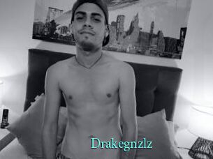 Drakegnzlz