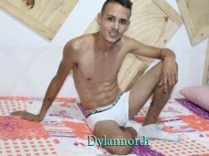 Dylan_north