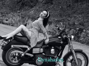 Dynaharley