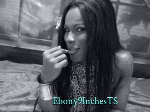 Ebony9InchesTS