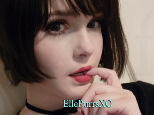 EllePurrsXO