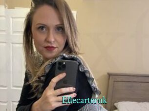 Ellecarteruk xxx Fantasy Land