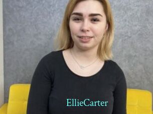 Ellie_Carter xxx Fantasy Land