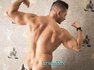 ErwinErv
