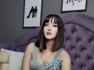 EvaBrix