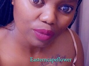 Easterncapeflower