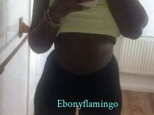 Ebony_flamingo