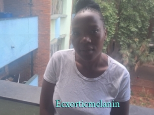 Ecxorticmelanin