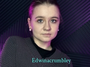 edwinacrumbley xxx Fantasy Land