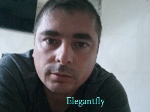 Elegantfly