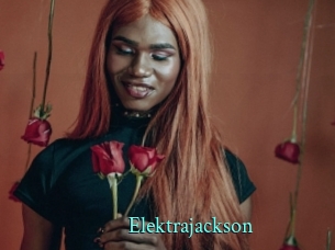 elektrajackson xxx Fantasy Land