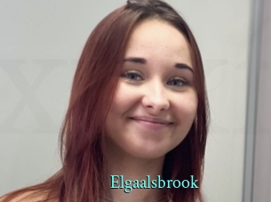 Elgaalsbrook