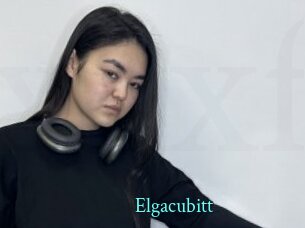 Elgacubitt
